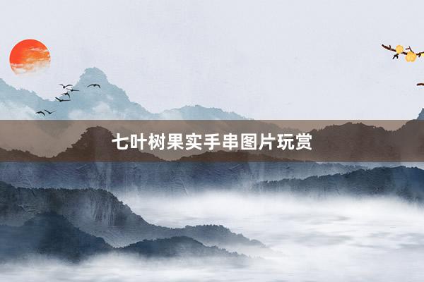 七叶树果实手串图片玩赏
