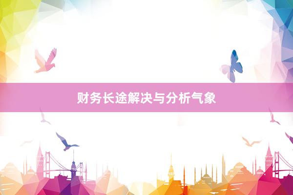 财务长途解决与分析气象